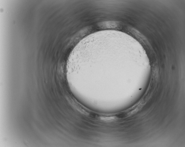 X0000086330373200704271948