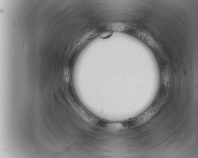 X0000086330374200704271948