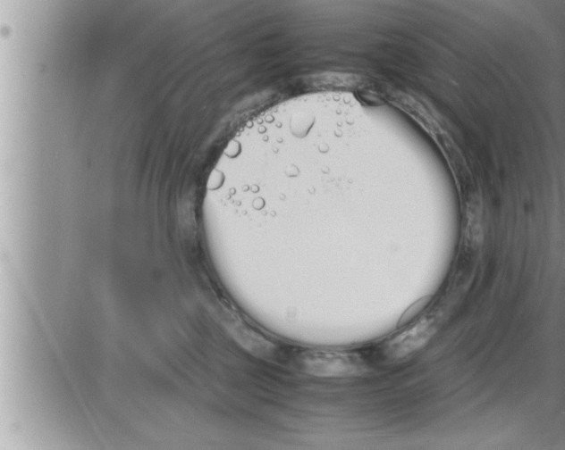 X0000086330377200704271948