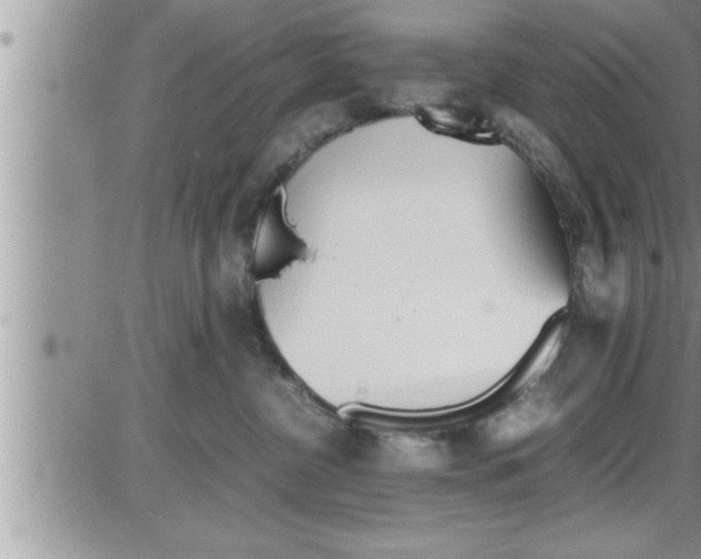 X0000086330380200704271948