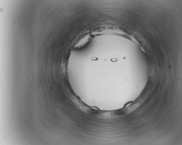 X0000086330382200704271948