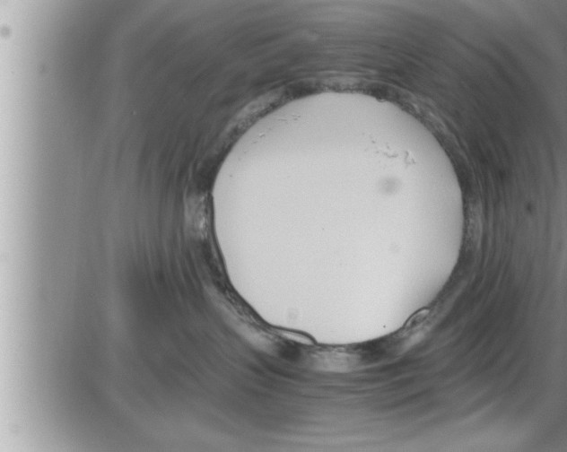 X0000086330383200704271948