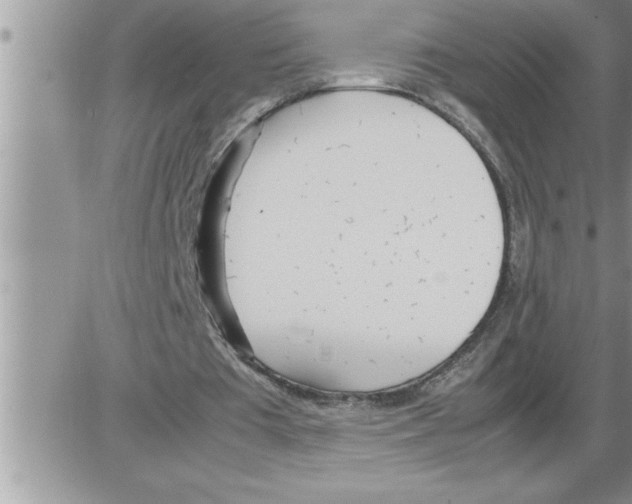 X0000086330385200704271947