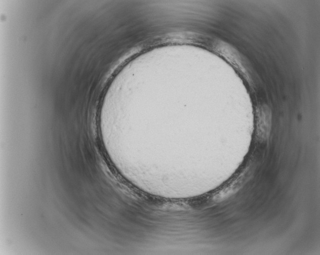 X0000086330386200704271947