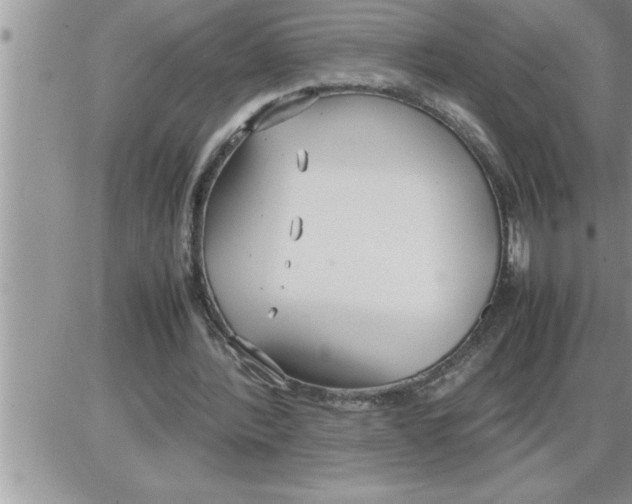 X0000086330388200704271947