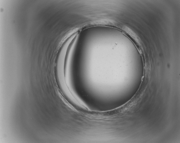 X0000086330389200704271947