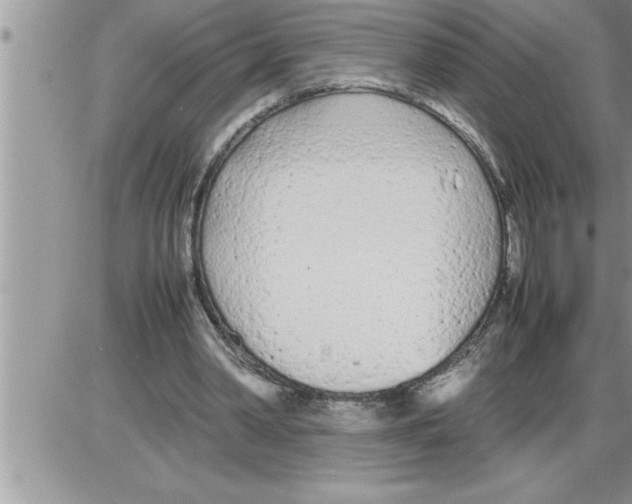 X0000086330390200704271947