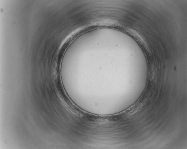 X0000086330392200704271947