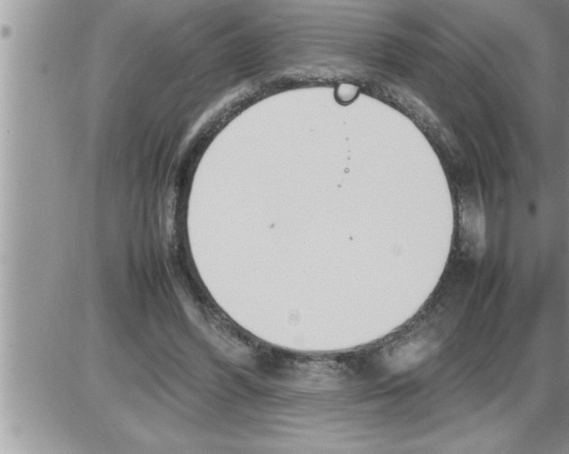 X0000086330396200704271947