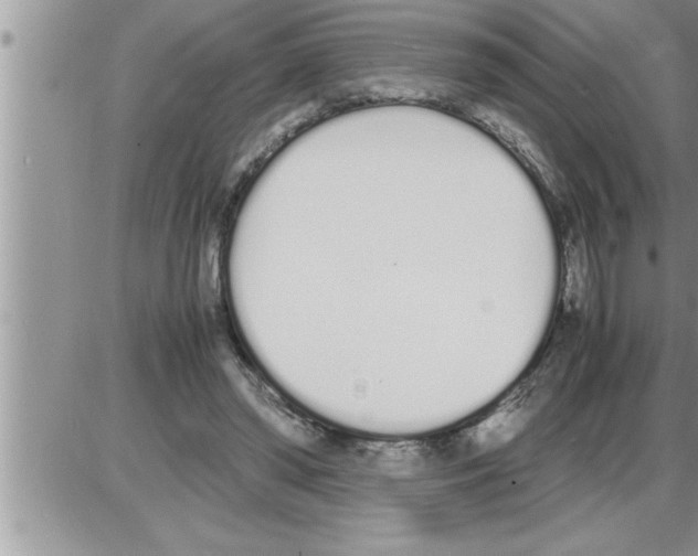 X0000086330398200704271947