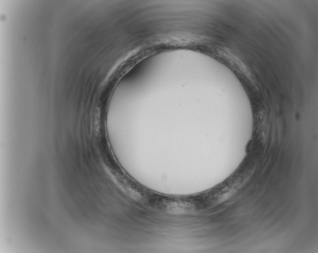 X0000086330400200704271947