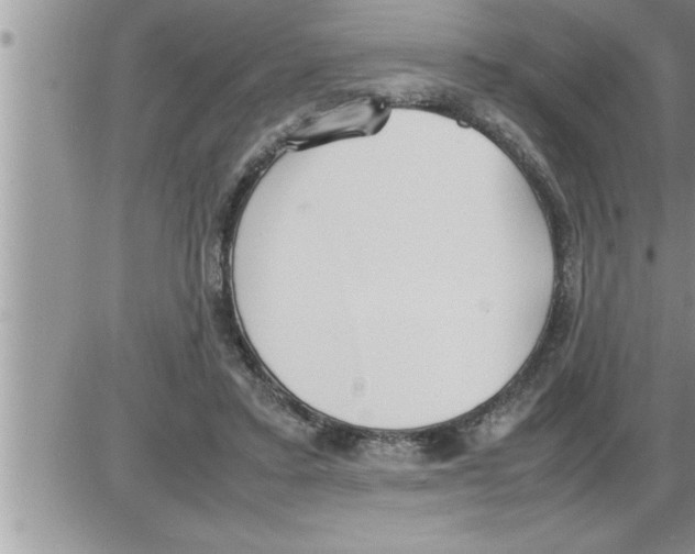 X0000086330403200704271947