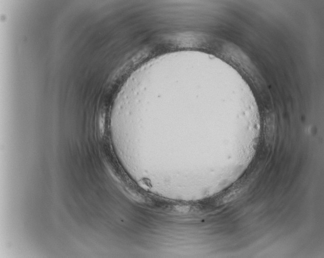 X0000086330406200704271947