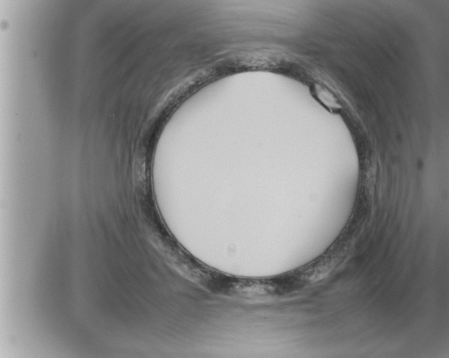 X0000086330407200704271947