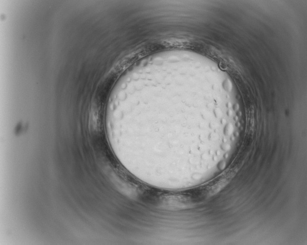 X0000086330408200704271947