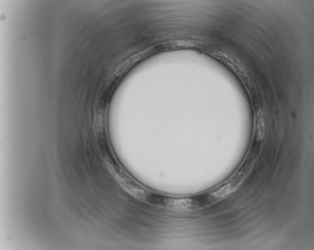 X0000086330410200704271947