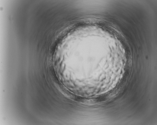 X0000086330411200704271947