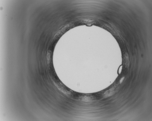 X0000086330412200704271947