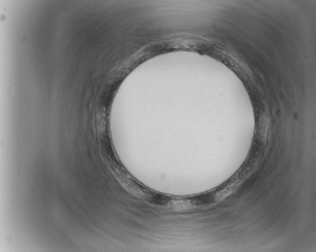 X0000086330413200704271947