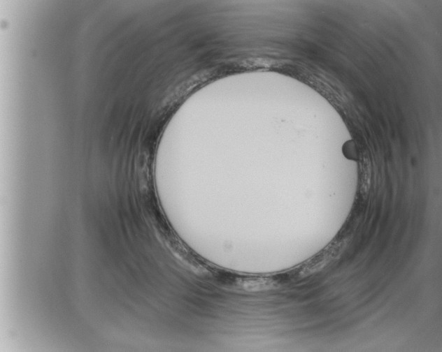 X0000086330414200704271947