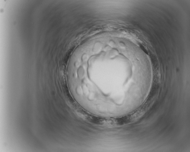 X0000086330415200704271947