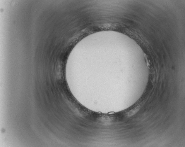 X0000086330416200704271947