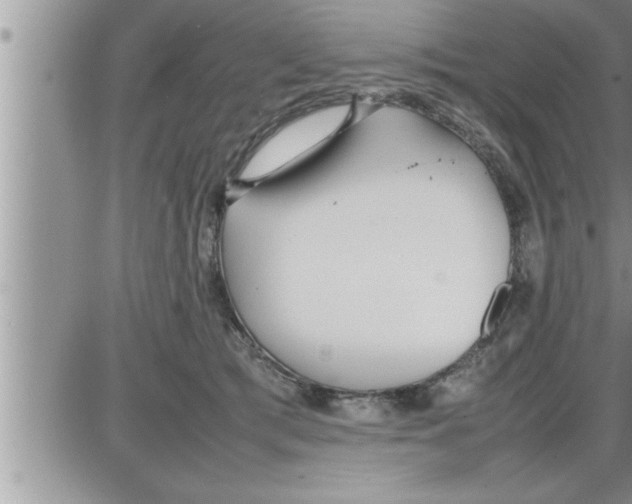 X0000086330417200704271947