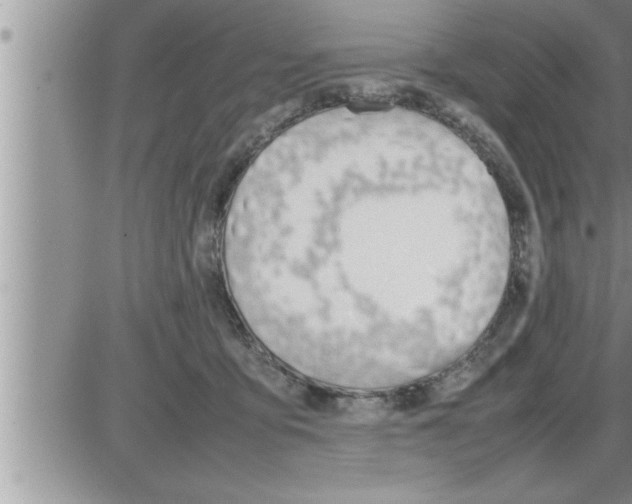 X0000086330419200704271947