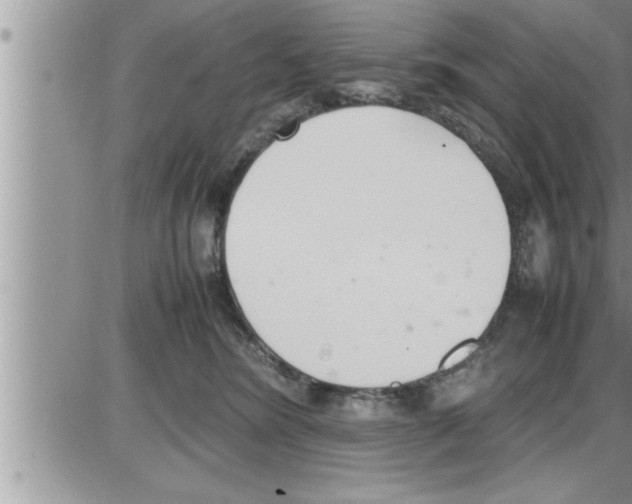 X0000086330420200704271947