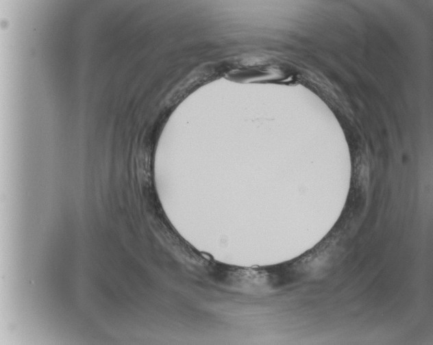 X0000086330421200704271947