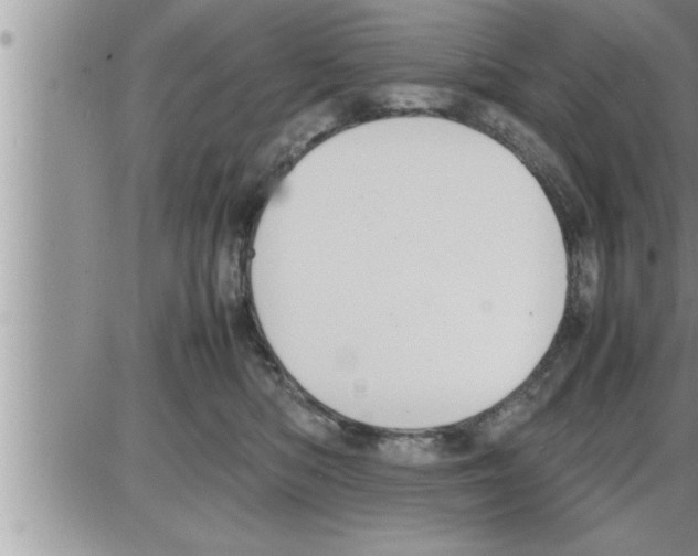 X0000086330422200704271947