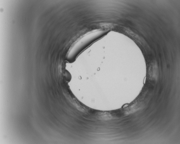 X0000086330424200704271947