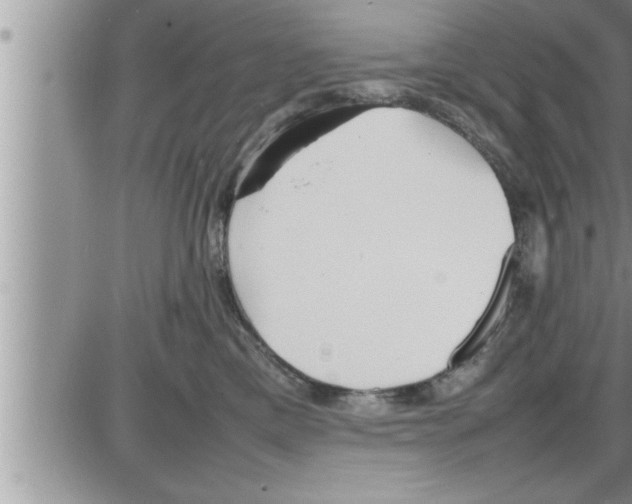 X0000086330425200704271947