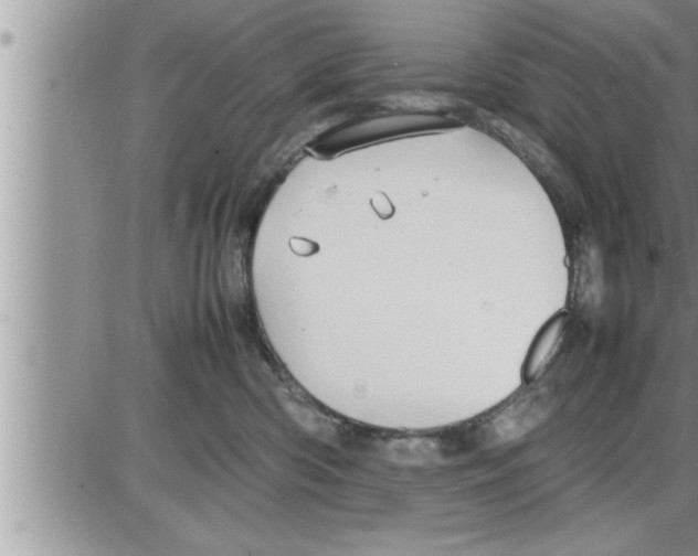 X0000086330426200704271947