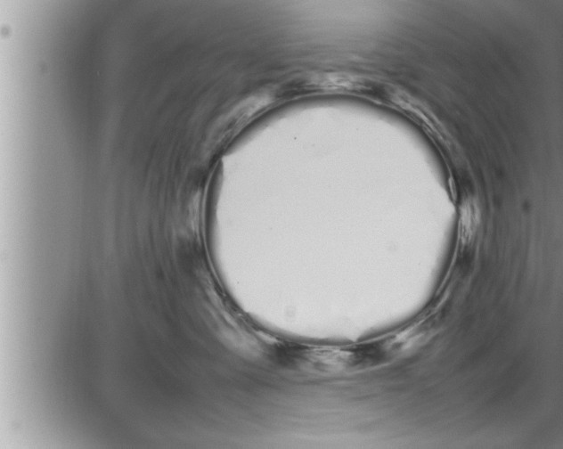 X0000086330427200704271947