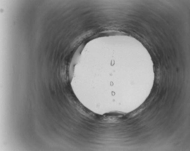 X0000086330428200704271947