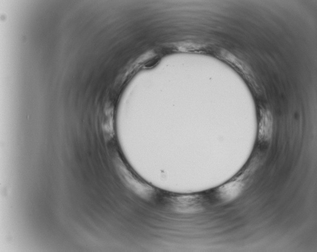 X0000086330430200704271947