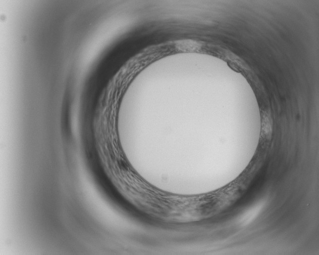 X0000086330431200704271947