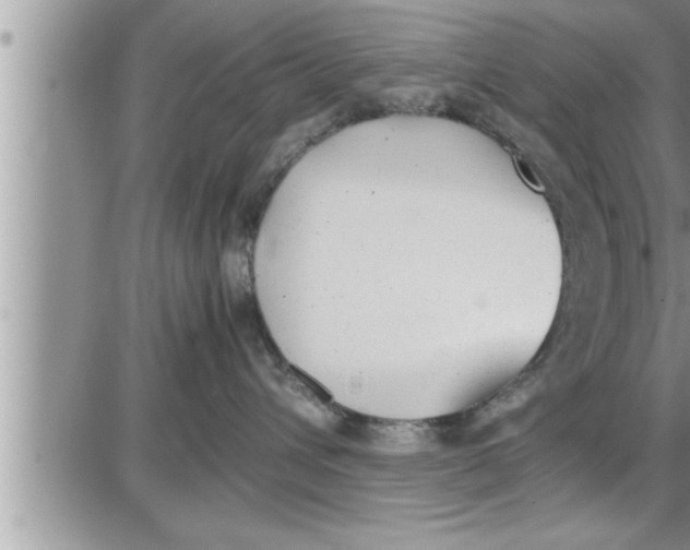 X0000086330432200704271947