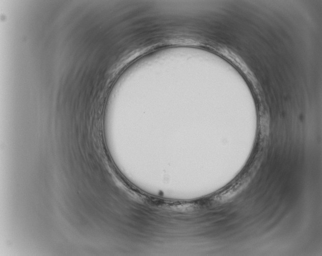 X0000086330433200704271946