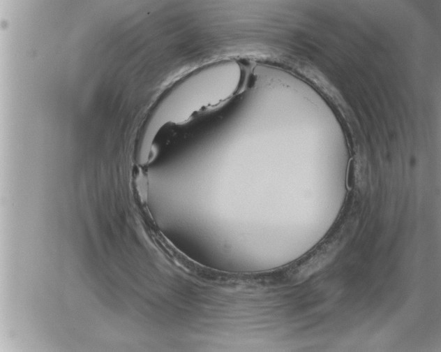 X0000086330434200704271946