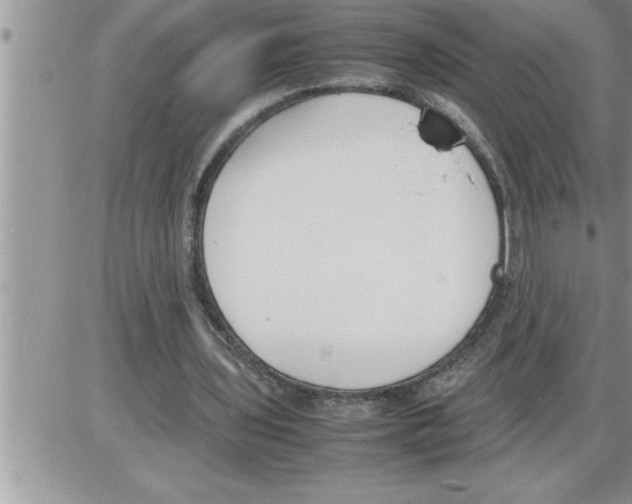 X0000086330435200704271946