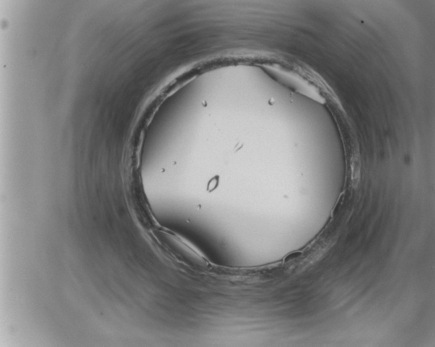 X0000086330436200704271946