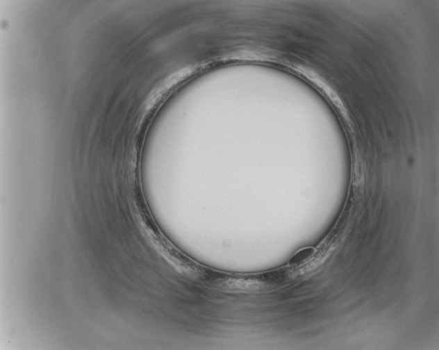 X0000086330437200704271946