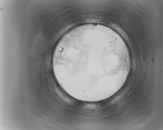 X0000086330441200704271946