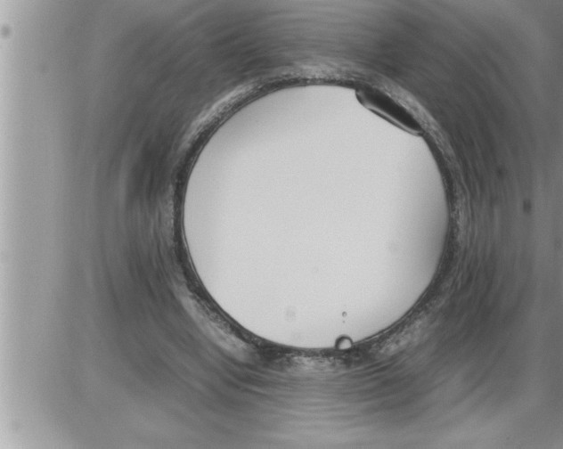 X0000086330442200704271946