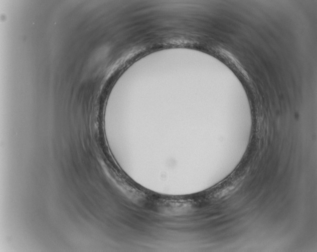 X0000086330443200704271946