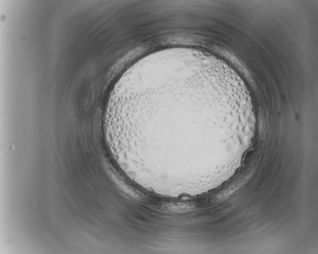 X0000086330445200704271946