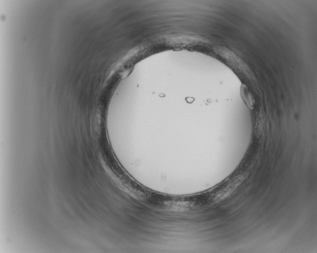 X0000086330448200704271946