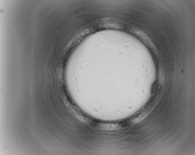 X0000086330449200704271946